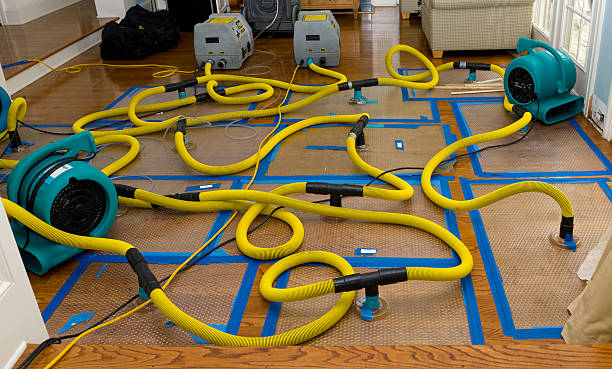 Professional Flood Damage Restoration technician working in Collins, WI