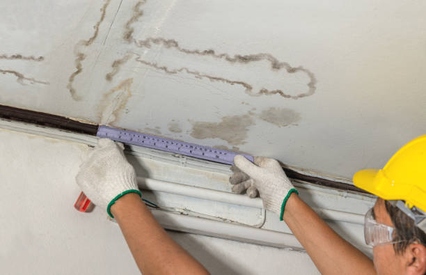 Affordable Water Damage Repair solutions in Collins, WI